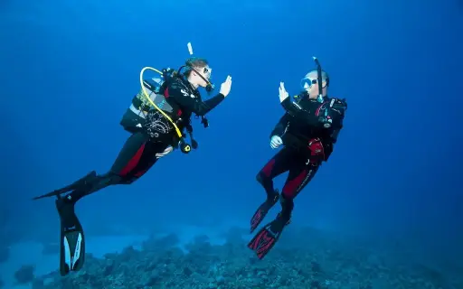 Plongées pendant notre voyage de noces